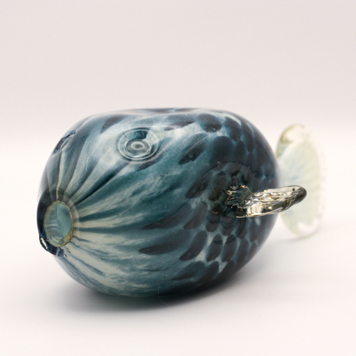 Glass Fish