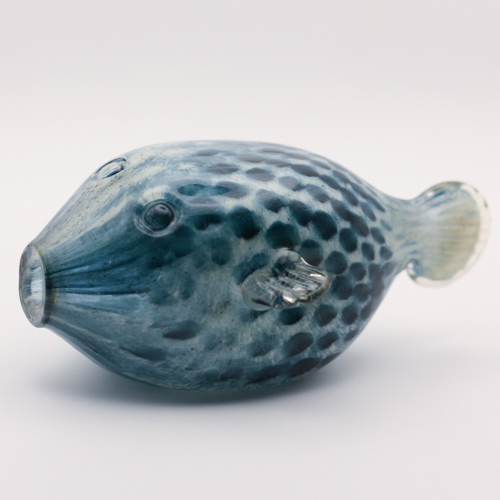 Glass Fish