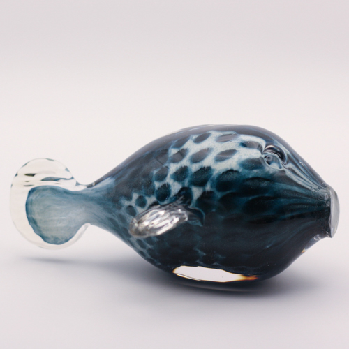 Glass Fish