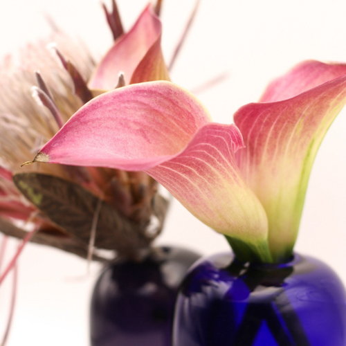 Two small vases with flowers