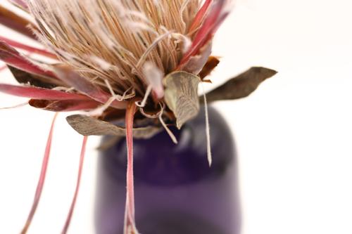 Small vase with flower